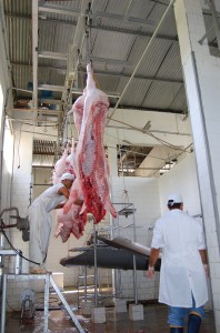 suinos Todos os animais que chegam aos estabelecimentos para o abate têm um controle de procedência