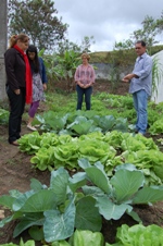 Foram distribuídos 10 mil kits de sementes beneficiando agricultores, colégios e residências