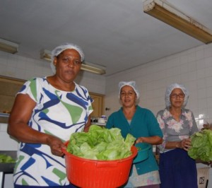 Agricultura02 Ano passado, o Ciep 264 apresentou excelentes resultados com o projeto “Horta Comunitária”.