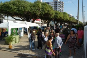 Ambiente Os estandes foram montados na Avenida Cardoso Moreira, próximo ao Colégio Estadual 10 de Maio
