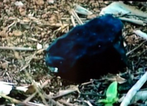 Varre-Sai2 Pedras caíram na Zona Rural da Cidade do Noroeste Fluminense