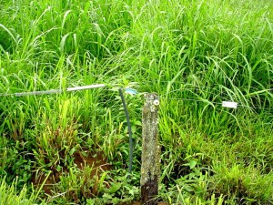 O instrutor do Senar Rodrigo Mota falou sobre a importância econômica de se conhecer as técnicas de instalação dos equipamentos eletrônicos junto a uma propriedade rural