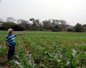Segundo Décio Zampiér, o programa ‘Fartura no Campo’ tem como principal objetivo aumentar a produtividade do homem do campo de maneira simples e bem planejada