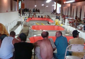 Policiais surpreendem adeptos de briga de galo em rinha em Itaperuna