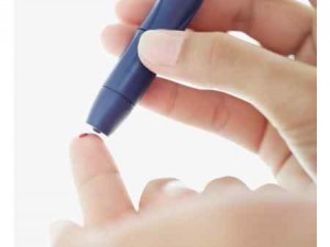 Dia Mundial Vital Brasil entra em cena esta semana