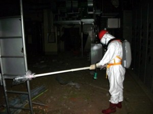 Fukushima Daiichi O governo japonês garantiu que o nível radioativo está dentro dos limites legais
