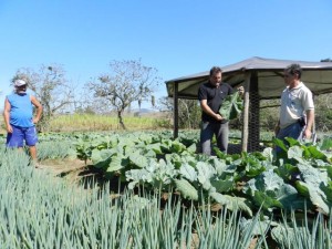 Agricultura Assentamento 02