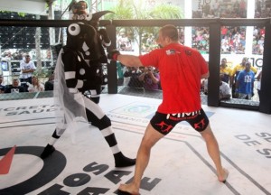 Lutadores de MMA enfrentam o mosquito da dengue no Rio de Janeiro Lutadores de MMA enfrentam o mosquito da dengue no Rio de Janeiro