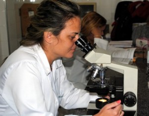 Rio de Janeiro registra 166 mil casos de dengue e 137 mortes no ano Rio de Janeiro registra 166 mil casos de dengue e 137 mortes no ano
