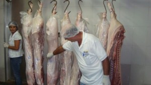 Argentina limita a importação de carne suína brasileira Argentina limita a importação de carne suína brasileira