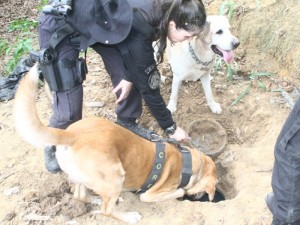 Polícia prende "PQD" e descobre refinaria do tráfico Polícia prende "PQD" e descobre refinaria do tráfico