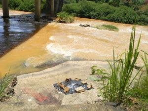 Feto é encontrado embaixo de uma ponte em Bom Jesus do Itabapoana (Foto: Vânia Ribeiro) Feto é encontrado embaixo de uma ponte em Bom Jesus do Itabapoana (Foto: Vânia Ribeiro)