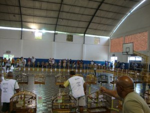 Torneio Estadual da Feclubes-RJ de Coleiros é realizado em Itaperuna