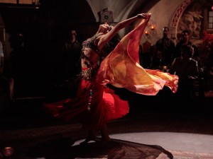 Tânia arrasa como Ayla na dança turca (Foto: Salve Jorge/TV Globo) Tânia arrasa como Ayla na dança turca (Foto: Salve Jorge/TV Globo)