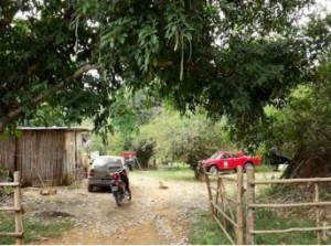 Corpos de casal desaparecido são encontrados no Rio Pomba em Santo Antônio de Pádua (Foto: Március Mendes / Jornal Sem Limites) 