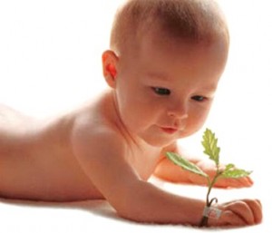 Livro alerta para o risco de algumas plantas para as crianças