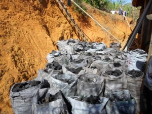 Denúncia leva polícia encontrar fornos de fabricação de carvão ilegal em Itaperuna