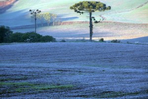 Sul e Sudeste do Brasil será invadido por onde frio que pode chegar a menos 10ºC
