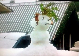 Neve cai em 5 cidades de Santa Catarina nesta segunda-feira (22/07)