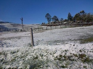 Neve cai no Rio Grande do Sul, Santa Catarina e no Paraná Neve cai no Rio Grande do Sul, Santa Catarina e no Paraná