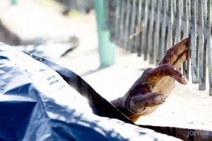 Homem é assassinado junto às grades de um CIEP em Campos - Foto: Carlos Grevi / Ururau