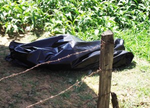 Corpo é encontrado às margens do Rio Muriaé em Itaperuna-RJ Corpo é encontrado às margens do Rio Muriaé em Itaperuna-RJ