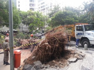 Árvore caiu no Largo dos Leões, no Humaitá (Foto: Renata Soares / G1)