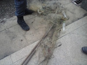 Cinco detidos em Laje do Muriaé-RJ por pesca predatória