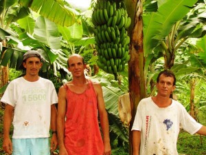 Ações integradas da Agricultura fortalecem produção orgânica no Noroeste