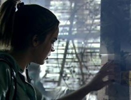 Anita segue Palhares em um beco escuro