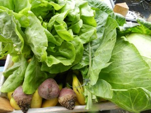 Município de Itaperuna atento à qualidade da merenda escolar