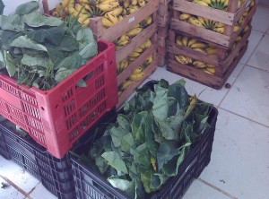 Município de Itaperuna atento à qualidade da merenda escolar