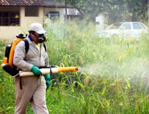 Secretaria de Saúde de Itaperuna intensifica ação contra a Dengue